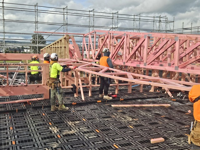 Builders installing pink roof trusses from a black platform at a Naylor Love site